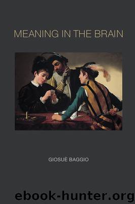 Meaning in the Brain by Baggio Giosuè