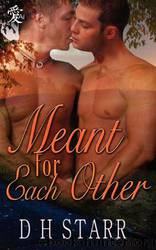Meant For Each Other by D.H. Starr