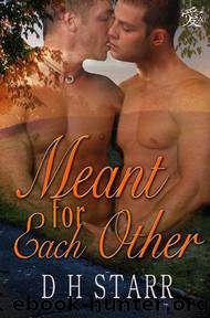 Meant for Each Other by D.H. Starr