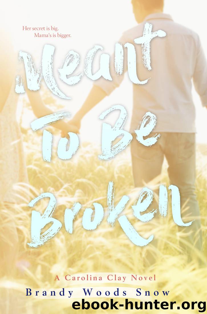 Meant to Be Broken by Brandy Woods Snow