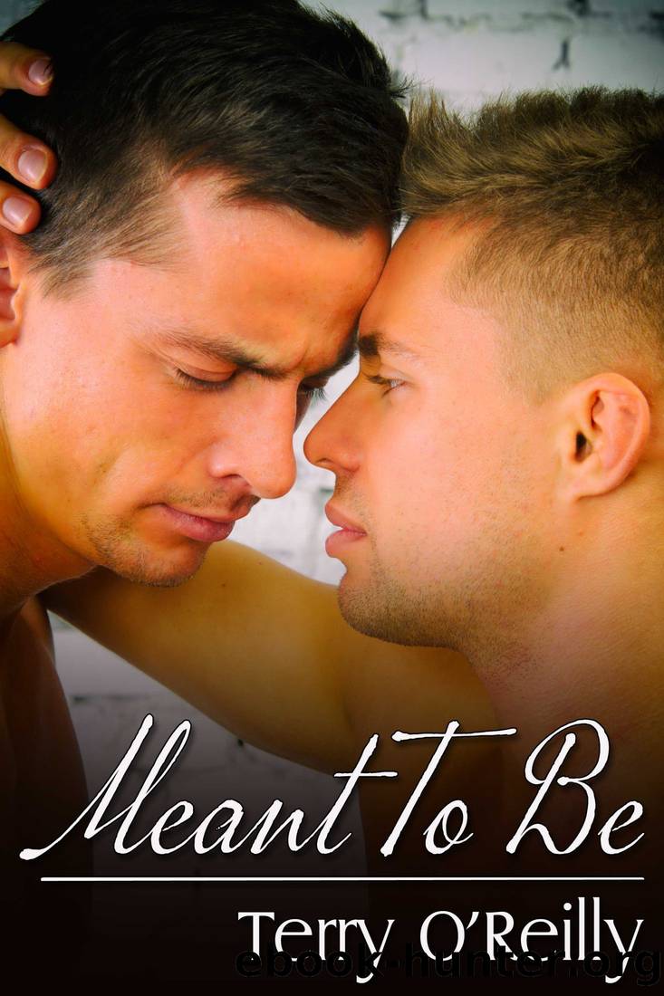 Meant to Be by Terry O'Reilly