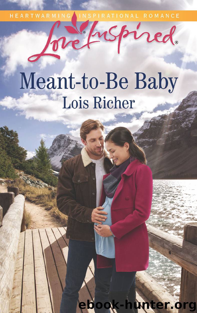 Meant-to-Be Baby by Lois Richer