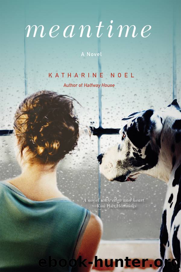 Meantime by Katharine Noel