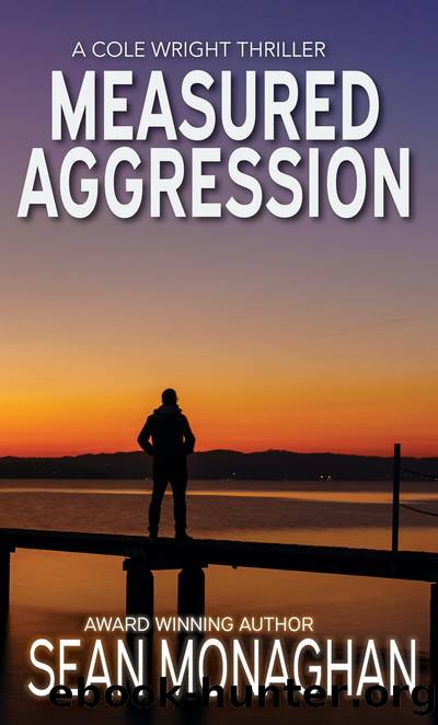 Measured Aggression by Sean Monaghan