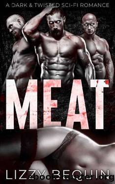Meat: A Dark & Twisted Sci-Fi Romance by Lizzy Bequin