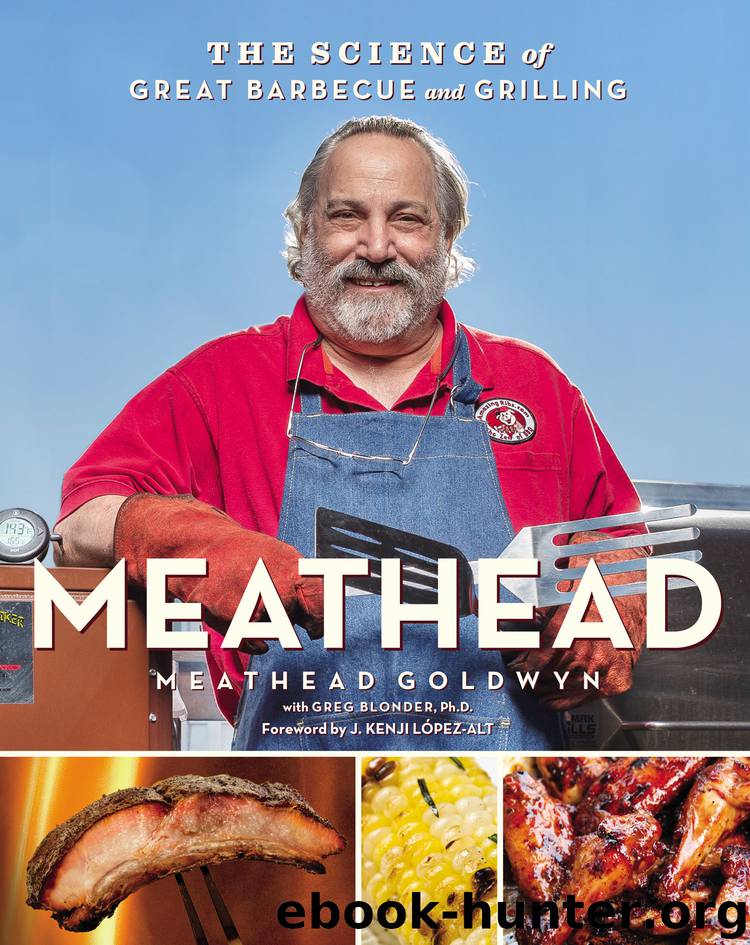 Meathead: The Science of Great Barbecue and Grilling by Meathead Goldwyn Greg Blonder & Meathead Goldwyn & Greg Blonder