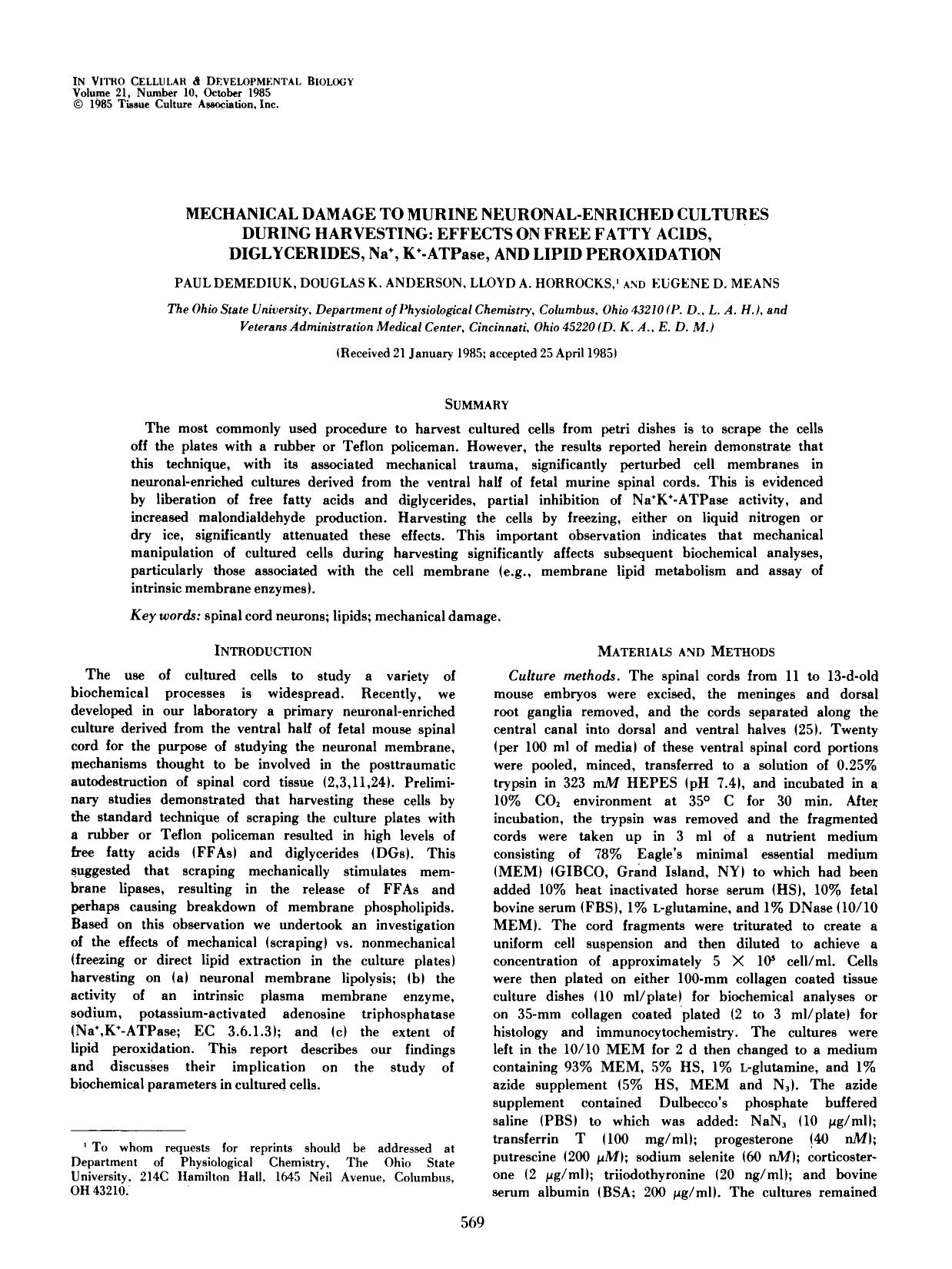 Mechanical damage to murine neuronal-enriched cultures during harvesting: Effects of free fatty acids, diglycerides, Na <Superscript>+ <Superscript>, K <Superscript>+ <Superscript> by Unknown