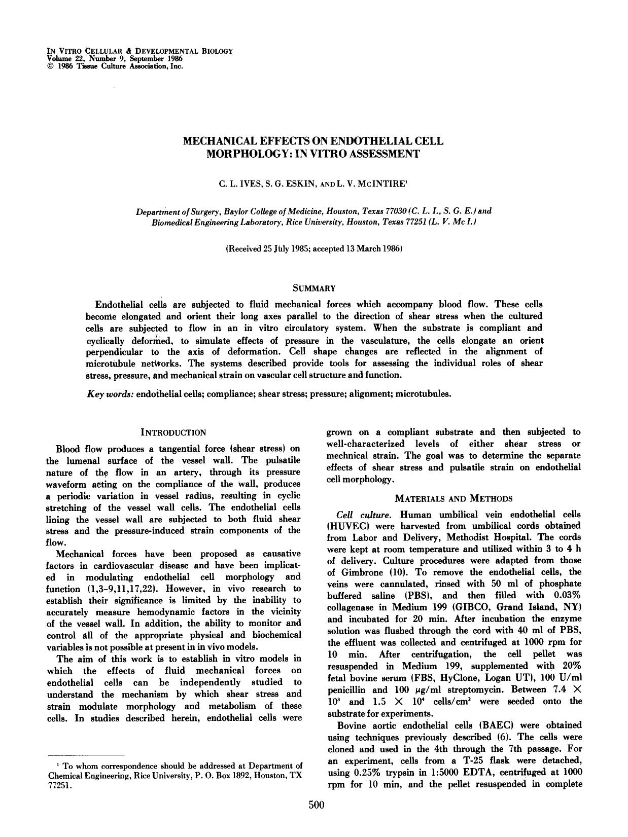 Mechanical effects on endothelial cell morphology: In vitro assessment by Unknown
