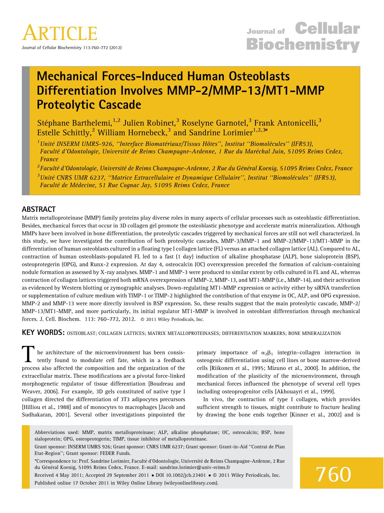 Mechanical forcesinduced human osteoblasts differentiation involves MMP2MMP13MT1MMP proteolytic cascade by Unknown