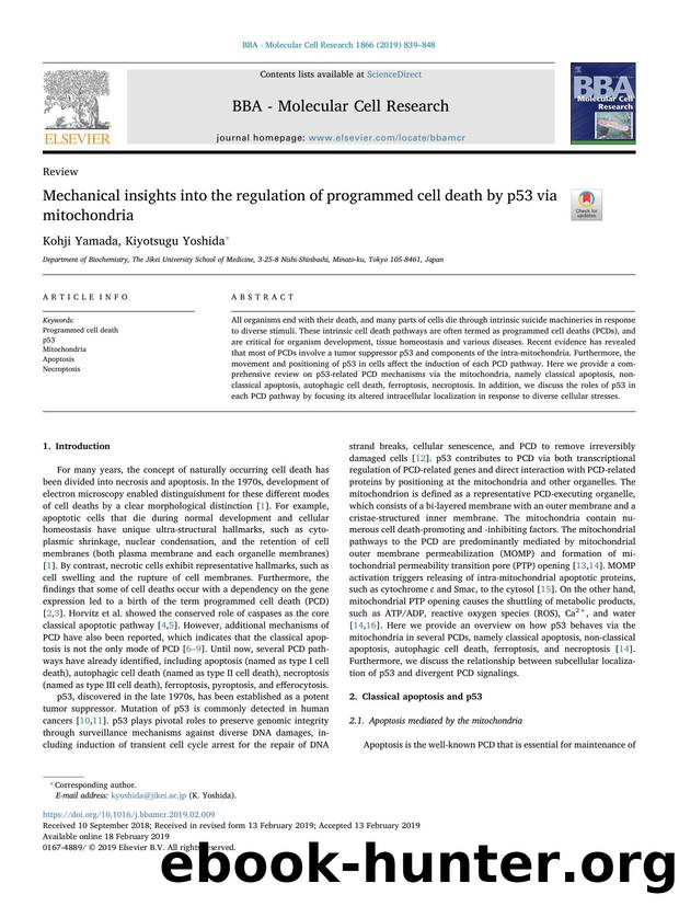 Mechanical insights into the regulation of programmed cell death by p53 via mitochondria by Kohji Yamada & Kiyotsugu Yoshida