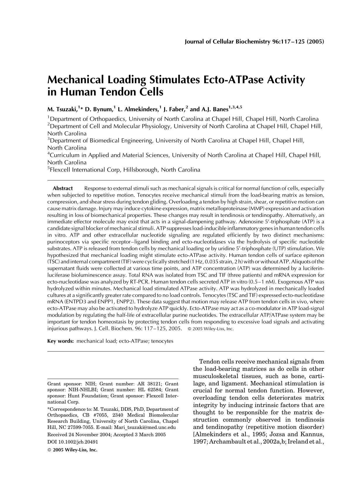 Mechanical loading stimulates ecto-ATPase activity in human tendon cells by Unknown