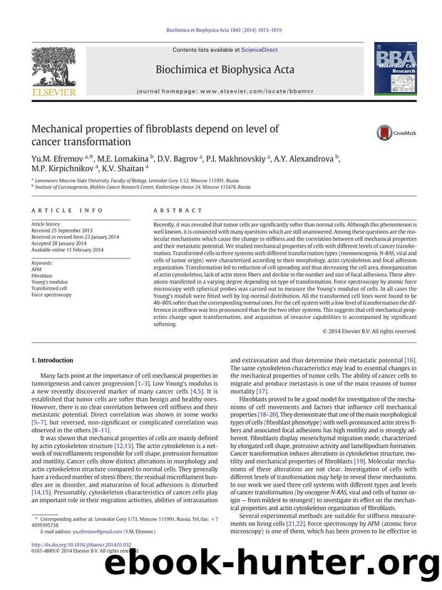 Mechanical properties of fibroblasts depend on level of cancer transformation by unknow
