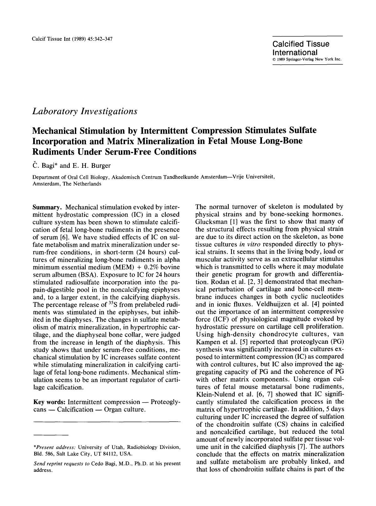Mechanical stimulation by intermittent compression stimulates sulfate incorporation and matrix mineralization in fetal mouse long-bone rudiments under serum-free conditions by Unknown