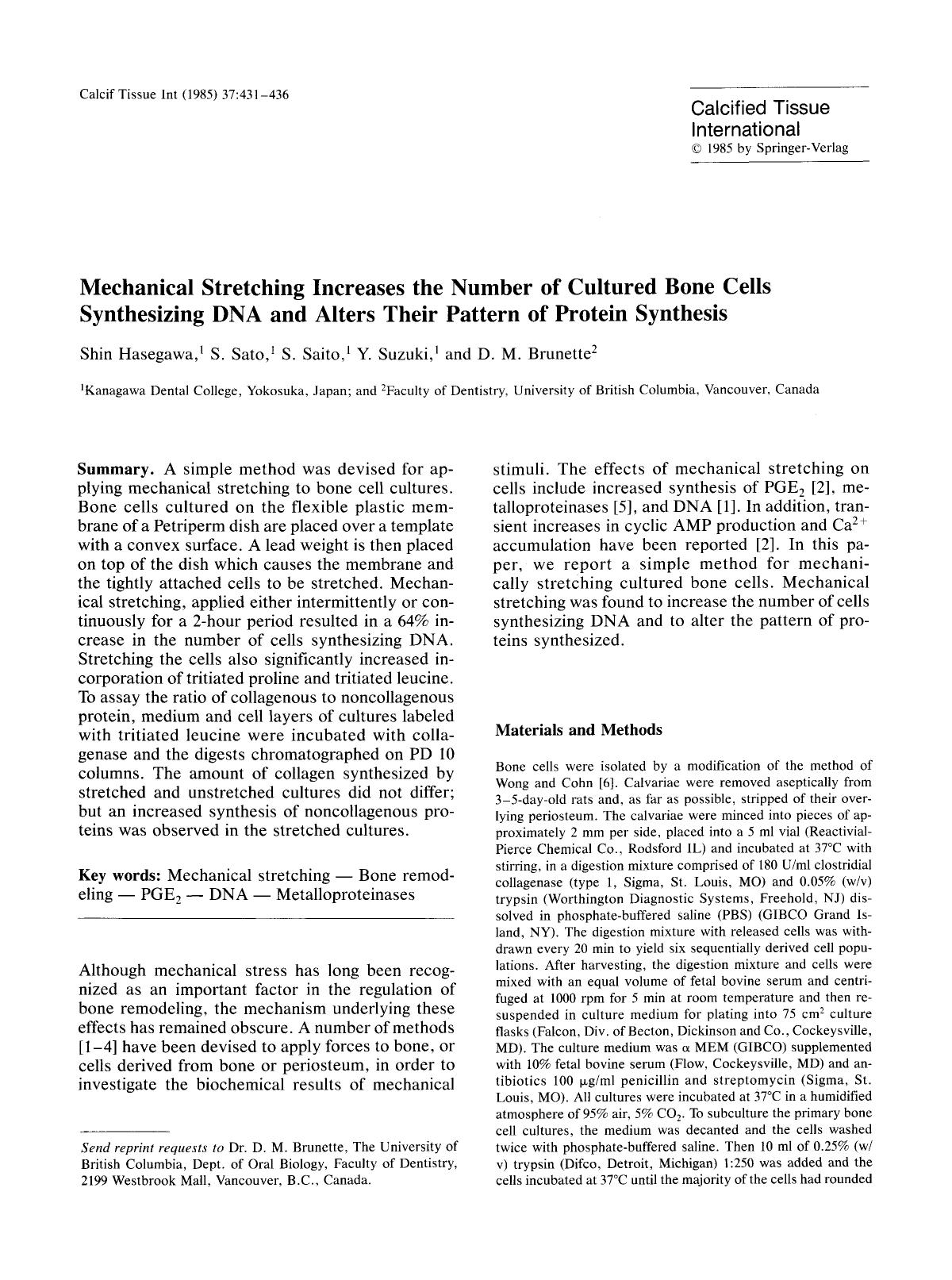 Mechanical stretching increases the number of cultured bone cells synthesizing DNA and alters their pattern of protein synthesis by Unknown