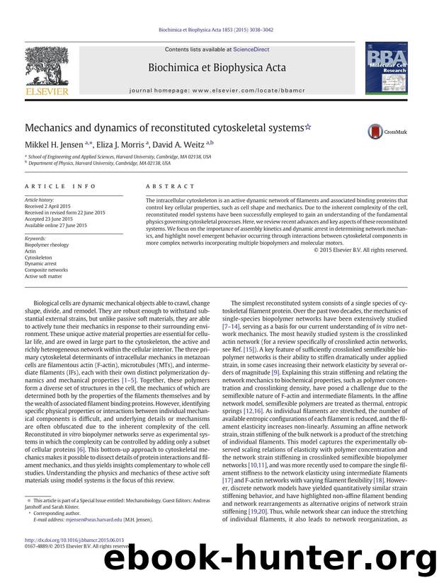 Mechanics and dynamics of reconstituted cytoskeletal systems by Mikkel H. Jensen & Eliza J. Morris & David A. Weitz