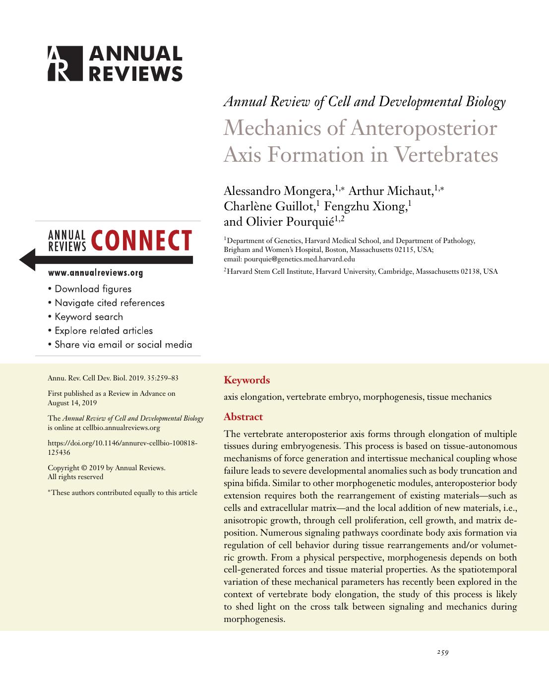Mechanics of Anteroposterior Axis Formation in Vertebrates by Alessandro Mongera Arthur Michaut Charlène Guillot Fengzhu Xiong Olivier Pourquié