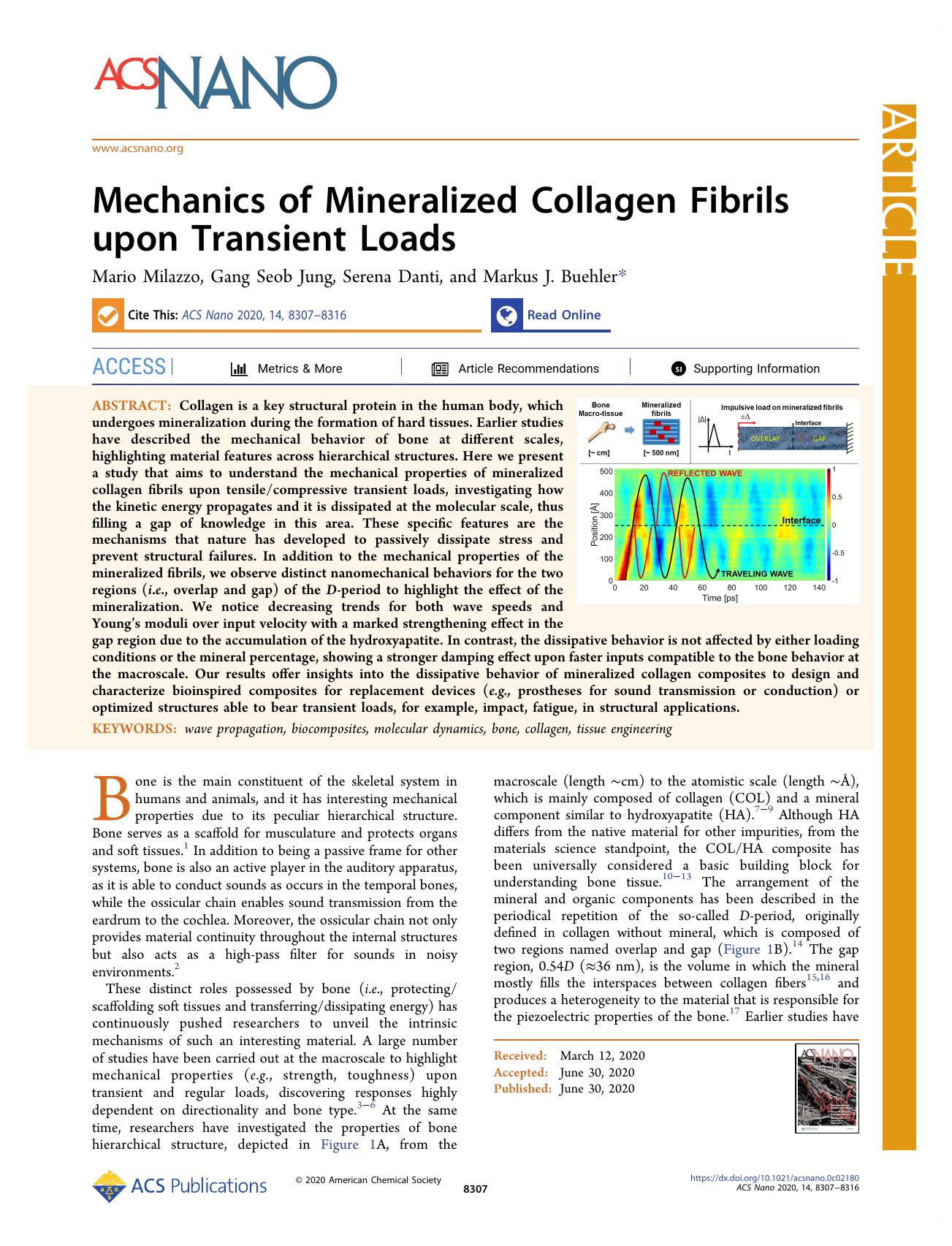 Mechanics of Mineralized Collagen Fibrils upon Transient Loads by Mario Milazzo Gang Seob Jung Serena Danti and Markus J. Buehler