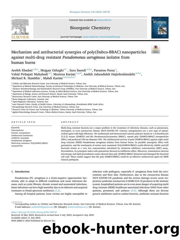 Mechanism and antibacterial synergies of poly(Dabco-BBAC) nanoparticles against multi-drug resistant Pseudomonas aeruginosa isolates from human burns by unknow
