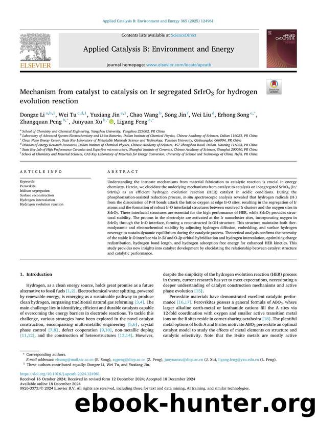 Mechanism from catalyst to catalysis on Ir segregated SrIrO3 for hydrogen evolution reaction by unknow