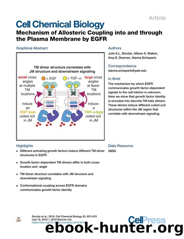 Mechanism of Allosteric Coupling into and through the Plasma Membrane by EGFR by Julie K.L. Sinclair & Allison S. Walker & Amy E. Doerner & Alanna Schepartz