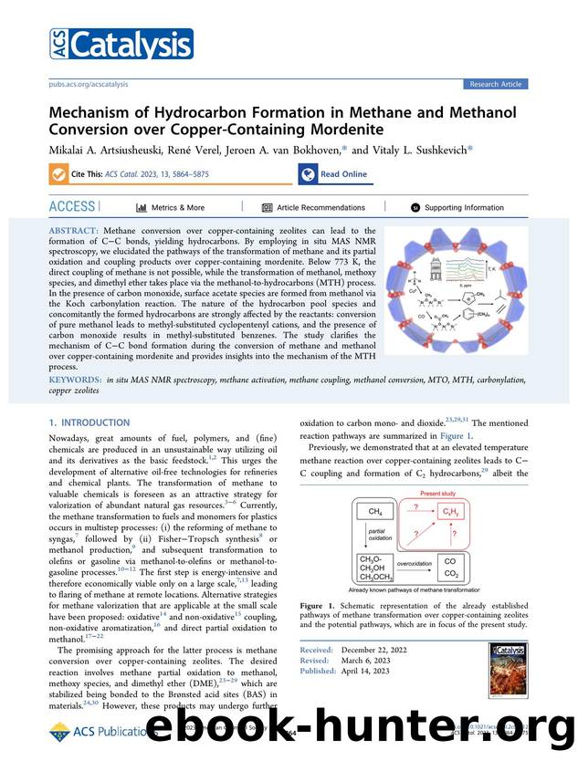 Mechanism of Hydrocarbon Formation in Methane and Methanol Conversion over Copper-Containing Mordenite by Mikalai A. Artsiusheuski René Verel Jeroen A. van Bokhoven and Vitaly L. Sushkevich