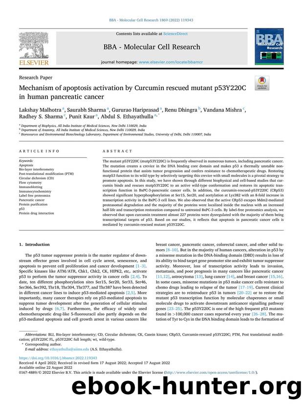 Mechanism of apoptosis activation by Curcumin rescued mutant p53Y220C in human pancreatic cancer by unknow