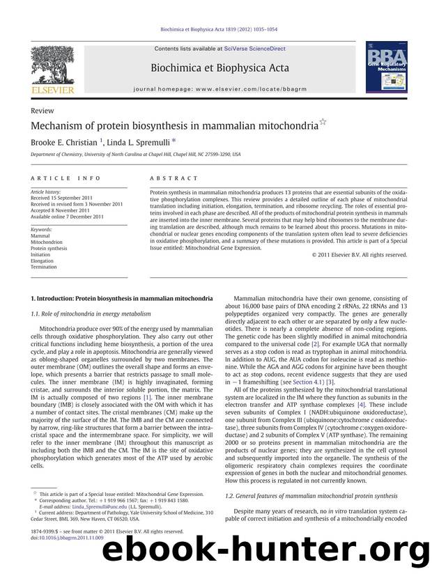 Mechanism of protein biosynthesis in mammalian mitochondria by Brooke E. Christian & Linda L. Spremulli