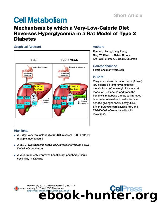 Mechanisms by which a Very-Low-Calorie Diet Reverses Hyperglycemia in a Rat Model of Type 2 Diabetes by unknow