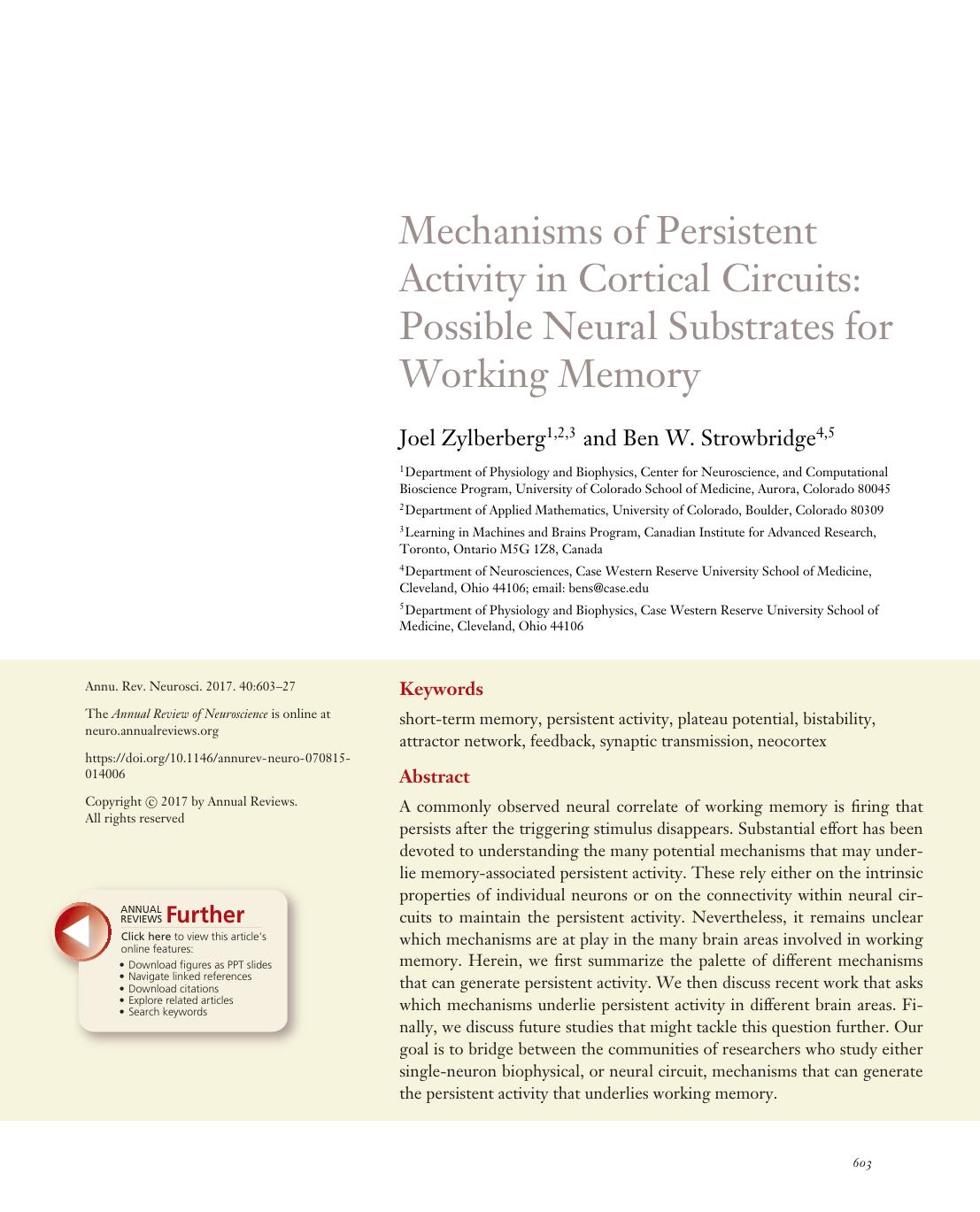 Mechanisms of Persistent Activity in Cortical Circuits: Possible Neural Substrates for Working Memory by Joel Zylberberg and Ben W. Strowbridge