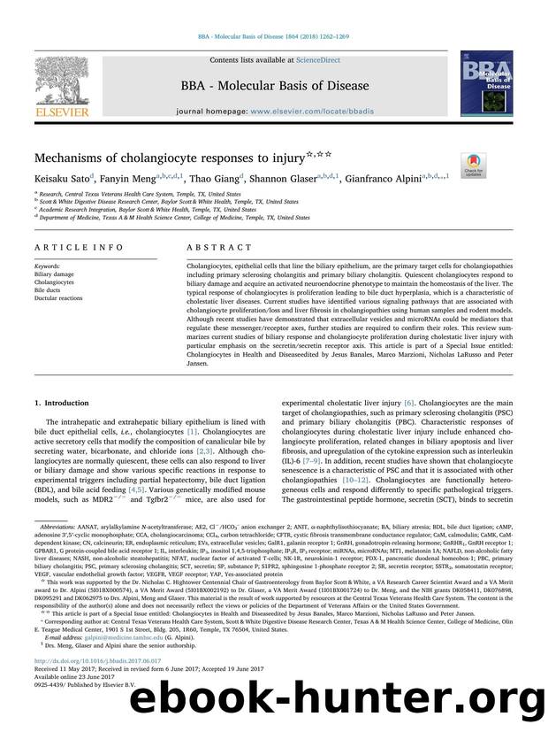 Mechanisms of cholangiocyte responses to injury by Keisaku Sato & Fanyin Meng & Thao Giang & Shannon Glaser & Gianfranco Alpini