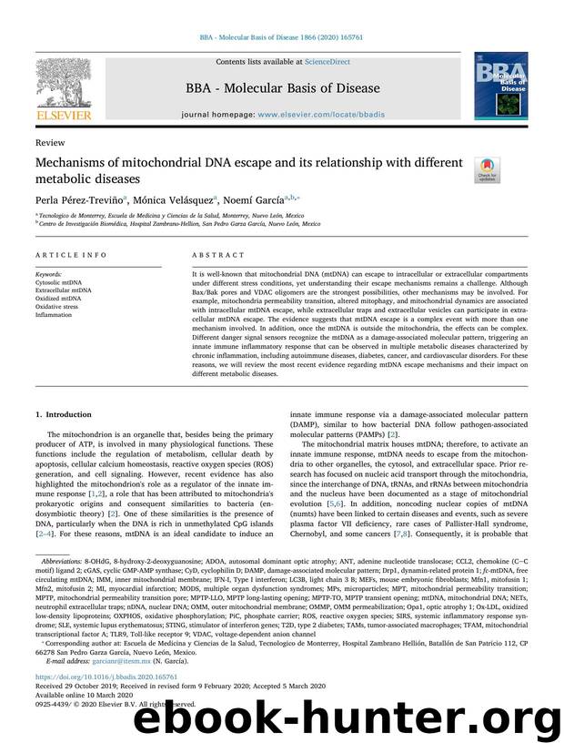 Mechanisms of mitochondrial DNA escape and its relationship with different metabolic diseases by Perla Pérez-Treviño & Mónica Velásquez & Noemí García