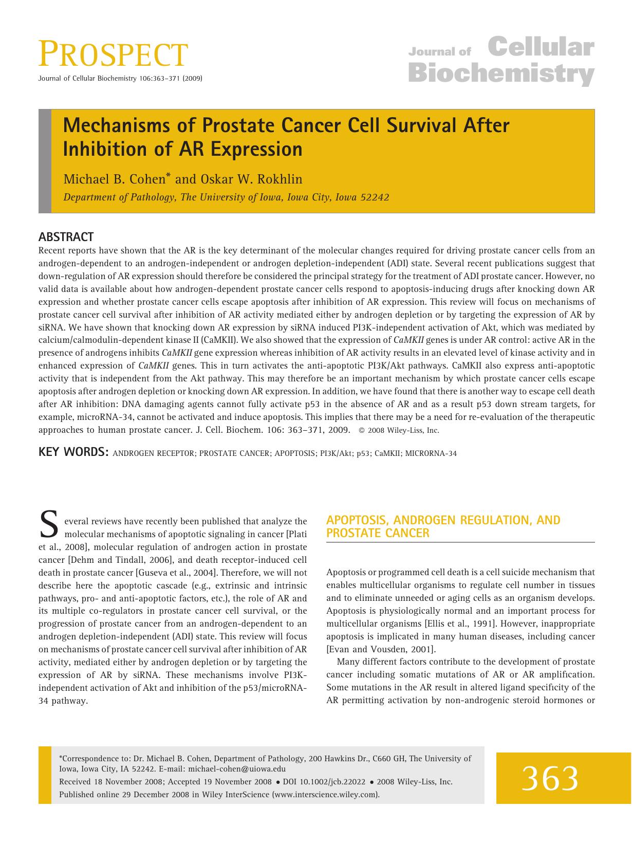 Mechanisms of prostate cancer cell survival after inhibition of AR expression by Unknown