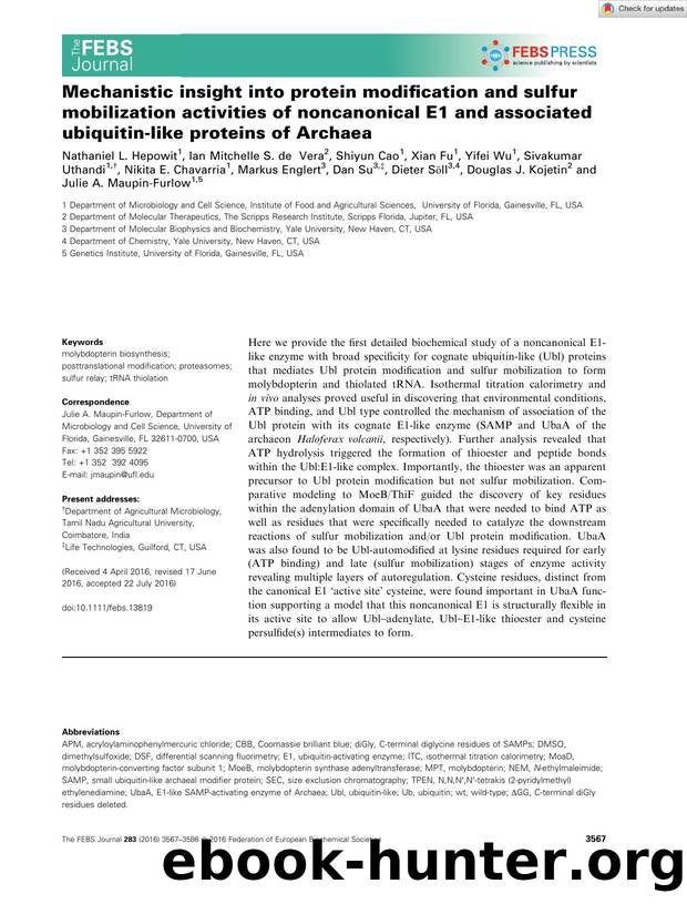 Mechanistic insight into protein modification and sulfur mobilization activities of noncanonical E1 and associated ubiquitinâlike proteins of Archaea by Unknown