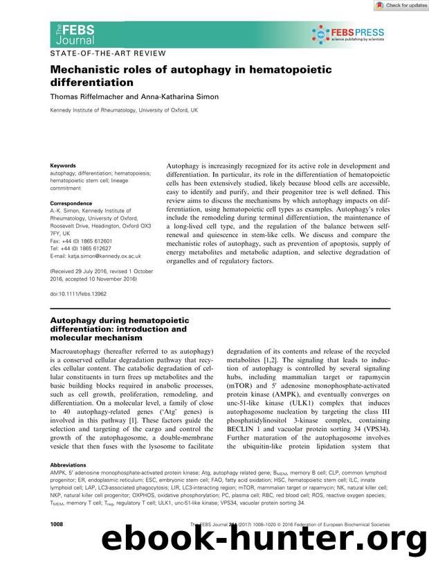 Mechanistic roles of autophagy in hematopoietic differentiation by Unknown
