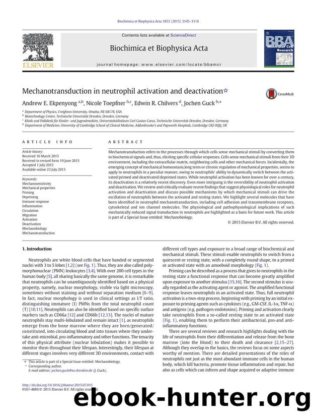 Mechanotransduction in neutrophil activation and deactivation by Andrew E. Ekpenyong & Nicole Toepfner & Edwin R. Chilvers & Jochen Guck