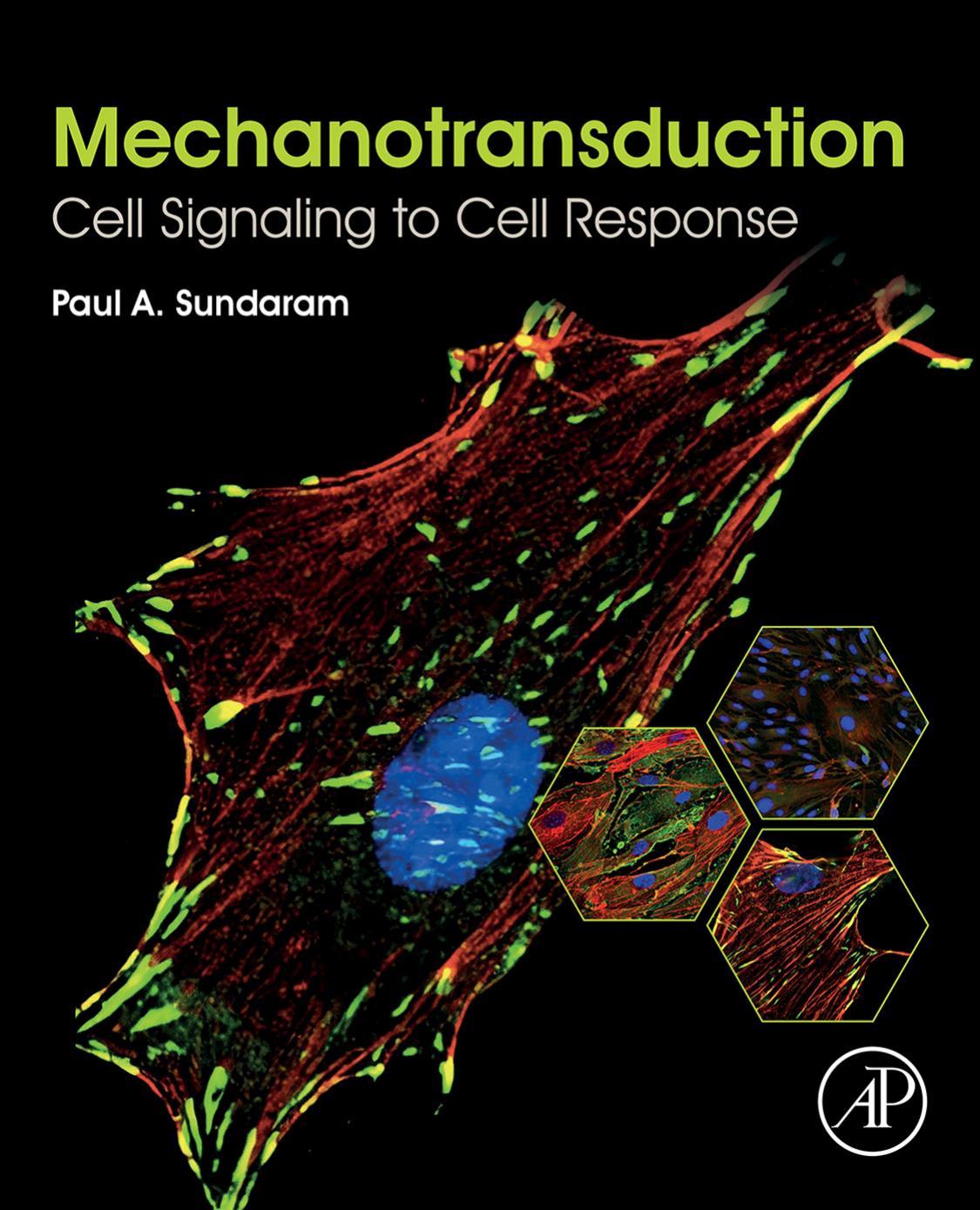 Mechanotransduction: Cell Signaling to Cell Response by Paul A. Sundaram