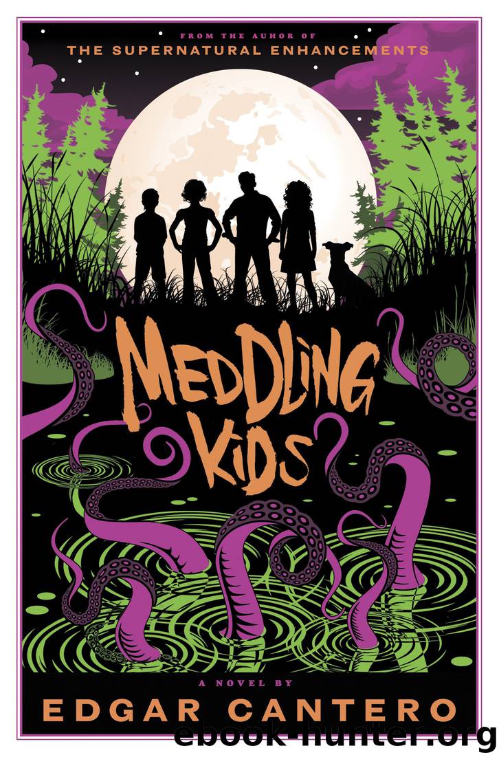 Meddling Kids by Edgar Cantero