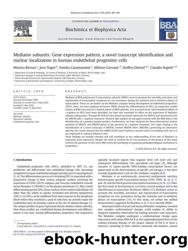Mediator subunits: Gene expression pattern, a novel transcript identification and nuclear localization in human endothelial progenitor cells by Monica Rienzo; Jens Nagel; Amelia Casamassimi; Alfonso Giovane; Steffen Dietzel; Claudio Napoli