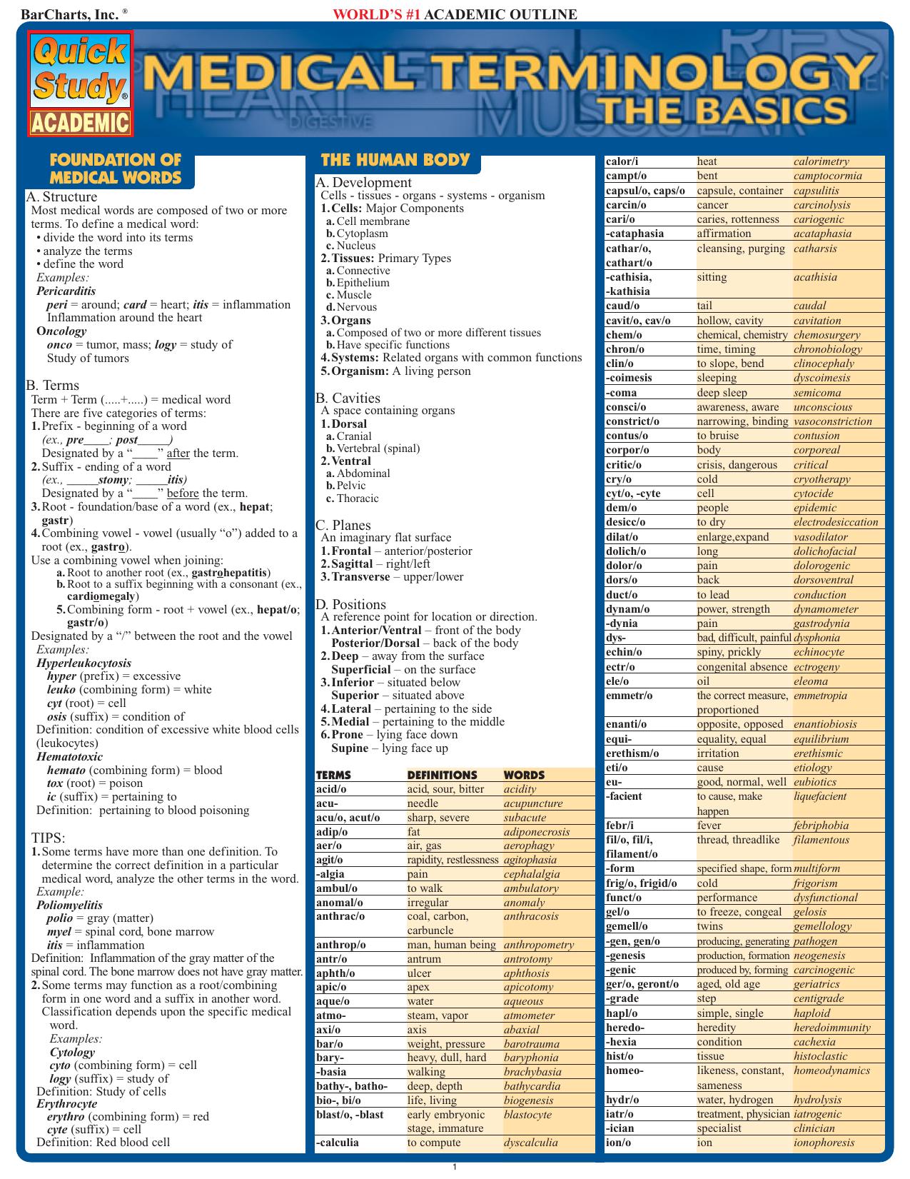 Medical Terminology Basics by Unknown