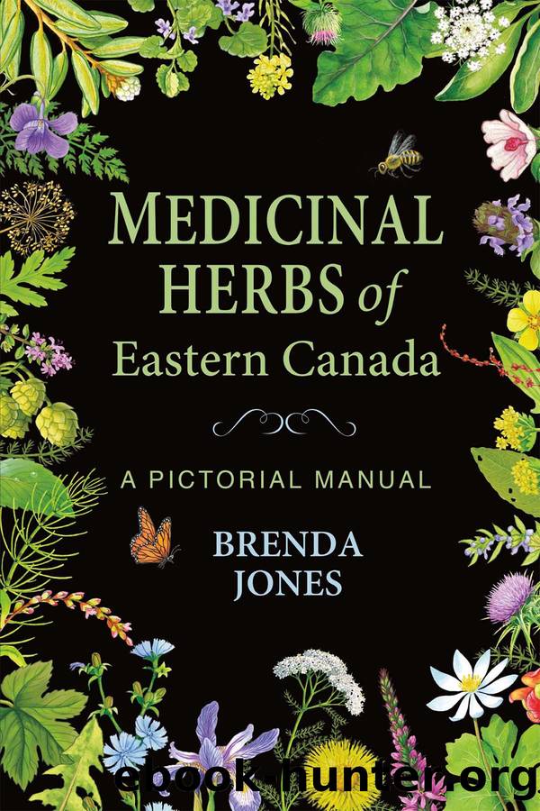 Medicinal Herbs of Eastern Canada by Brenda Jones