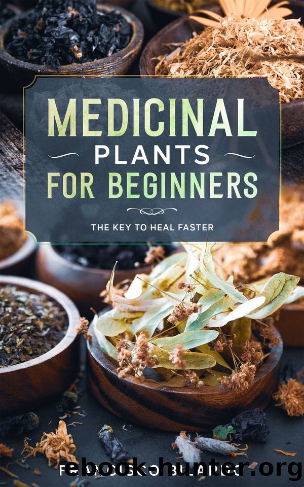 Medicinal plants for beginners: A practical reference guide for more than 200 herbs and remedies for common diseases by Francisco Bilardo