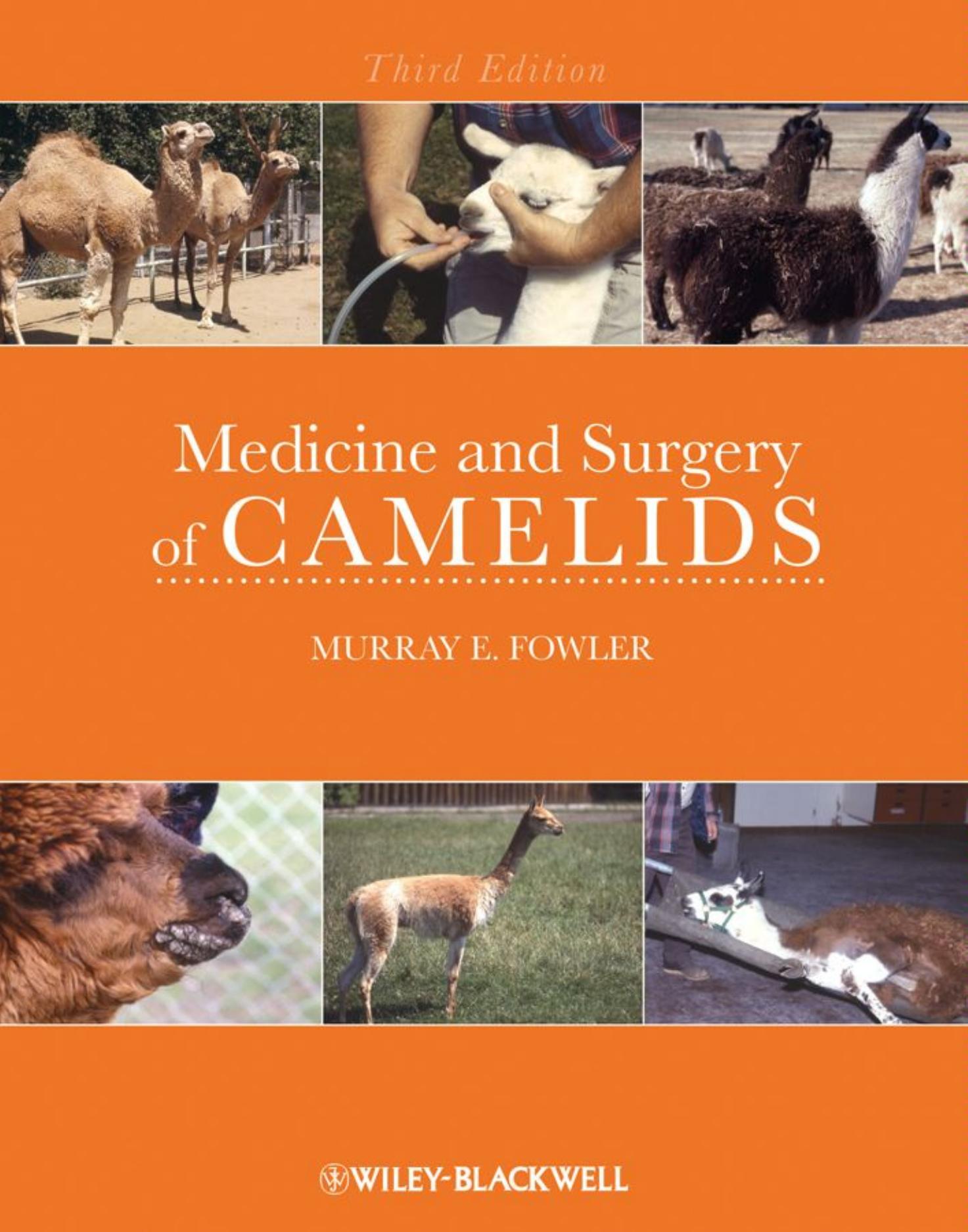 Medicine and Surgery of Camelids, 3rd Edition by Murray E. Fowler