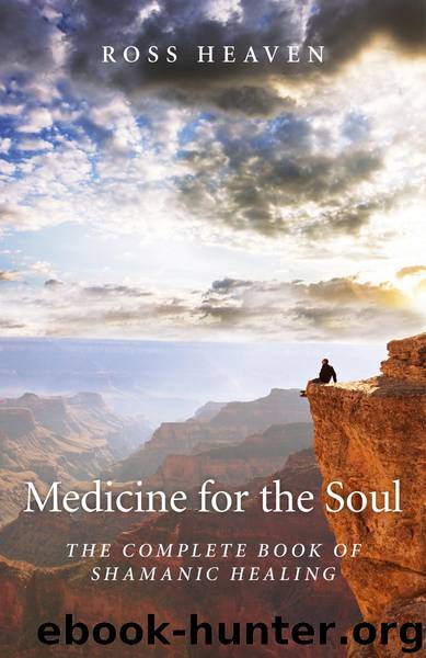 Medicine for the Soul by Ross Heaven