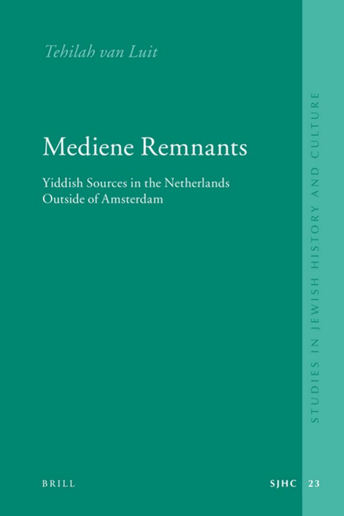 Mediene Remnants: Yiddish Sources in the Netherlands Outside of Amsterdam (Studies in Jewish History and Culture) by R. T. Van Luit