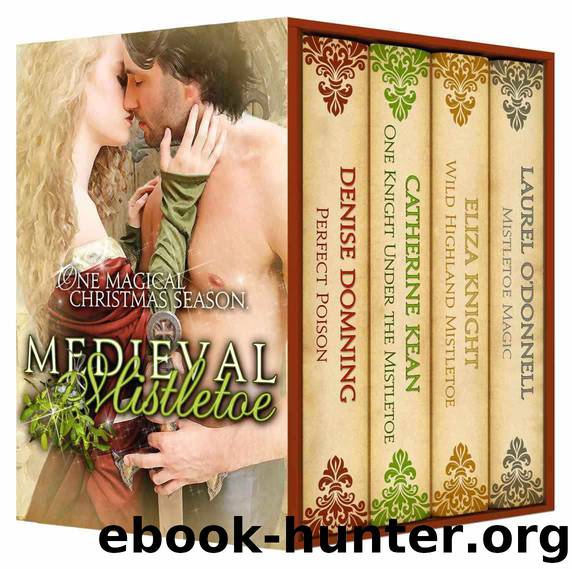 Medieval Mistletoe - One Magical Christmas Season by Laurel O'Donnell