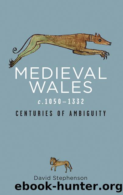 Medieval Wales c.1050-1332: Centuries of Ambiguity by David Stephenson