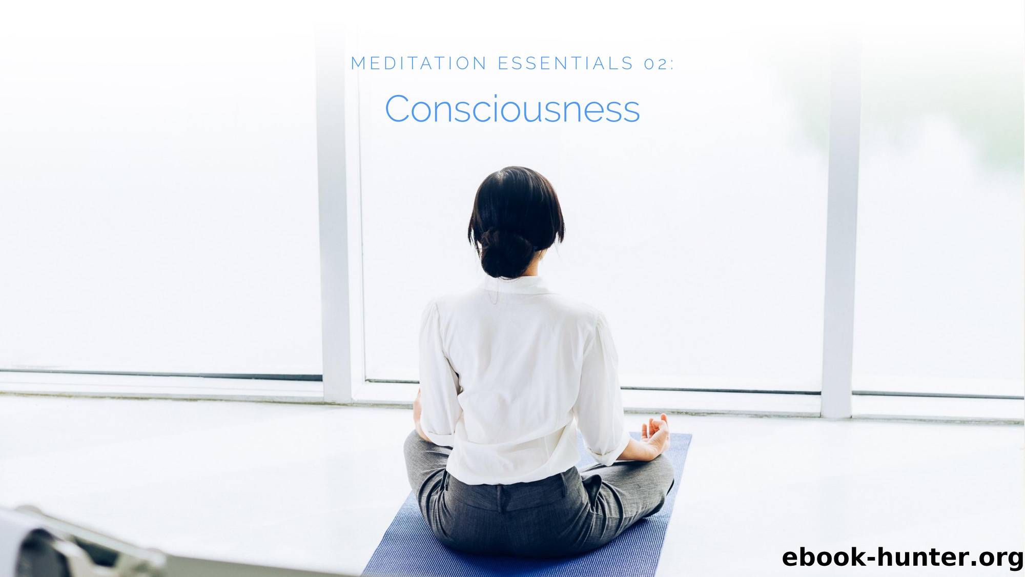 Meditation Essentials 02 Consciousness by Unknown
