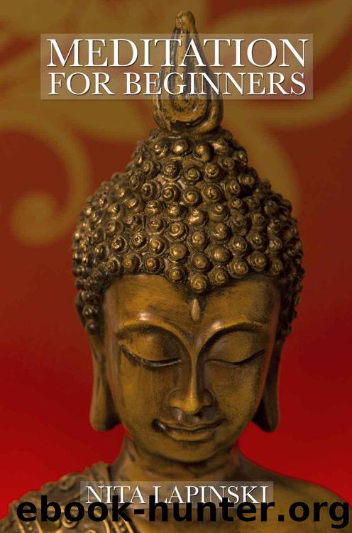 Meditation Handbook for Beginners by Lapinski Nita