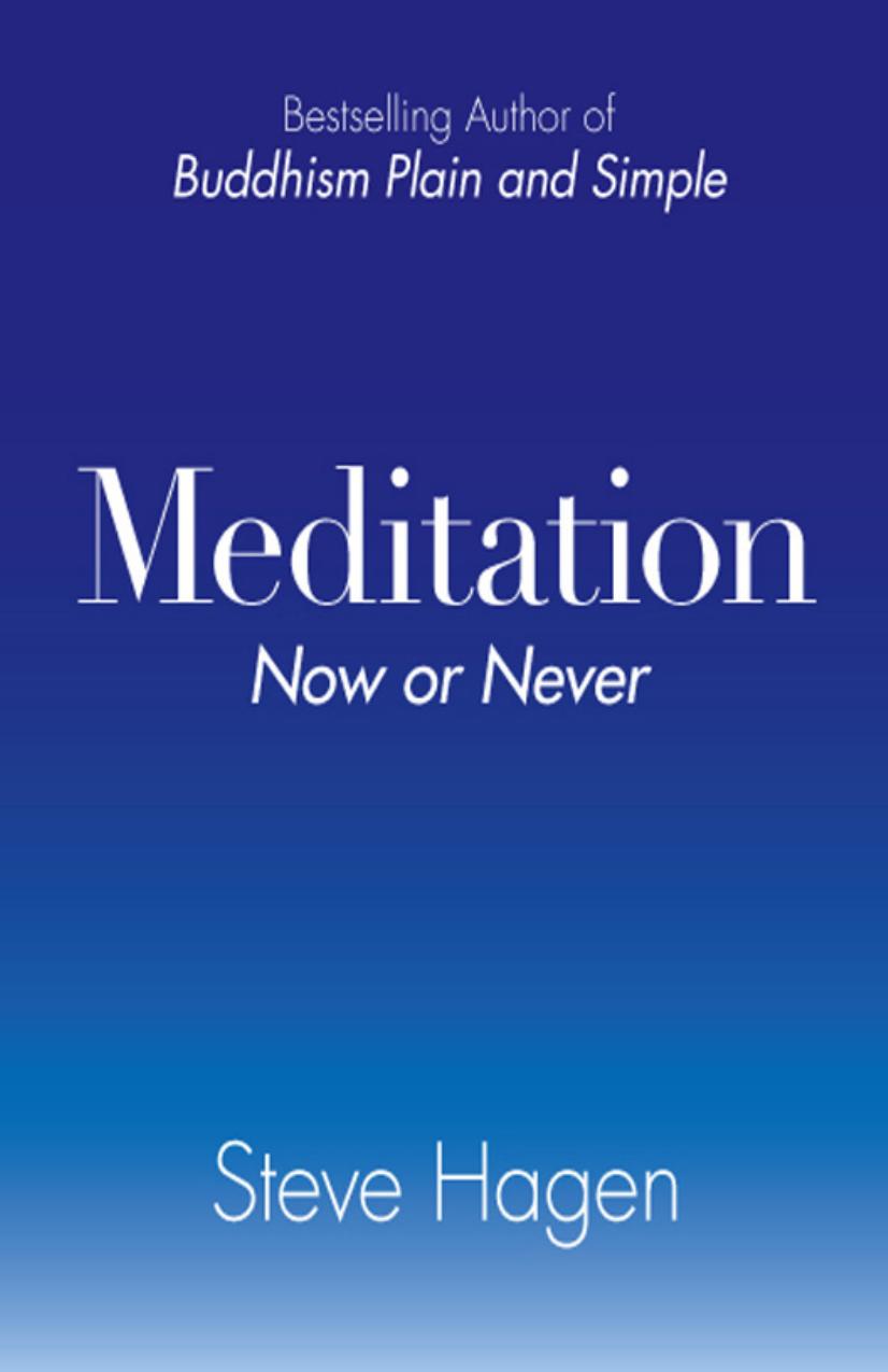 Meditation Now or Never by S Hagen