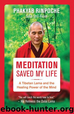 Meditation Saved My Life by Phakyab Rinpoche